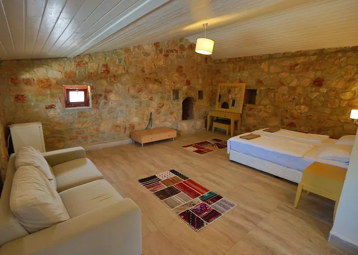 Villa Tomato *