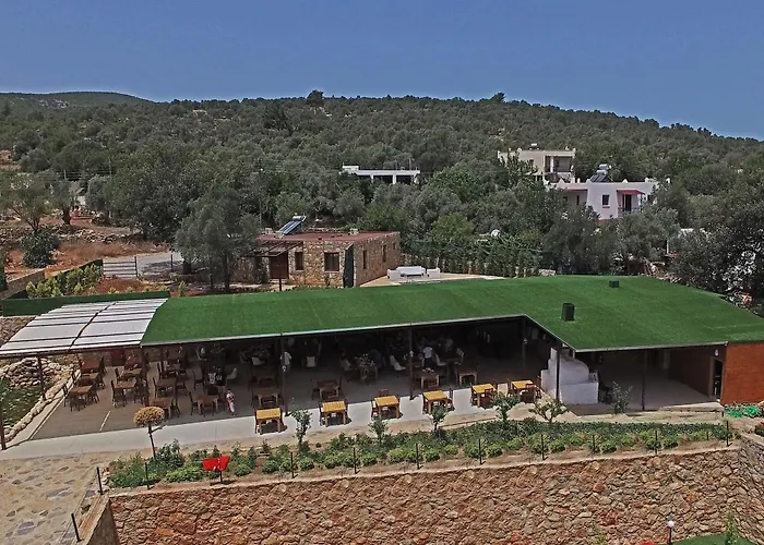 Tomato Villa