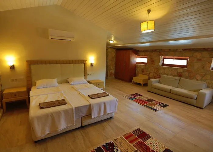Tomato Bodrum