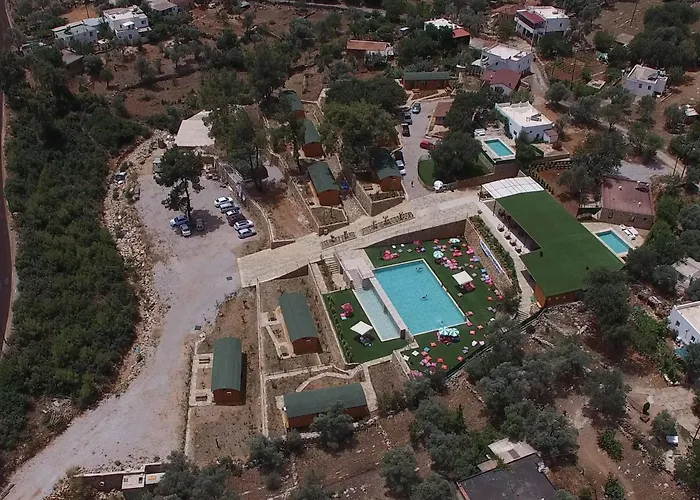 Tomato * Bodrum