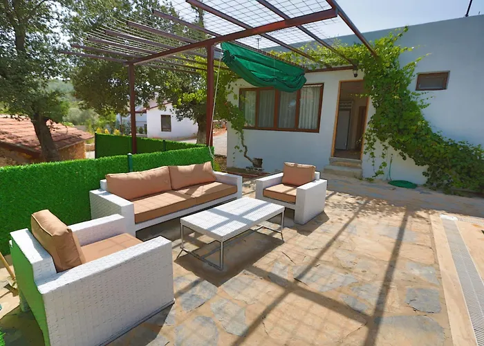 Tomato * Bodrum