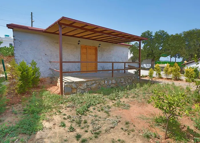 Tomato Villa *