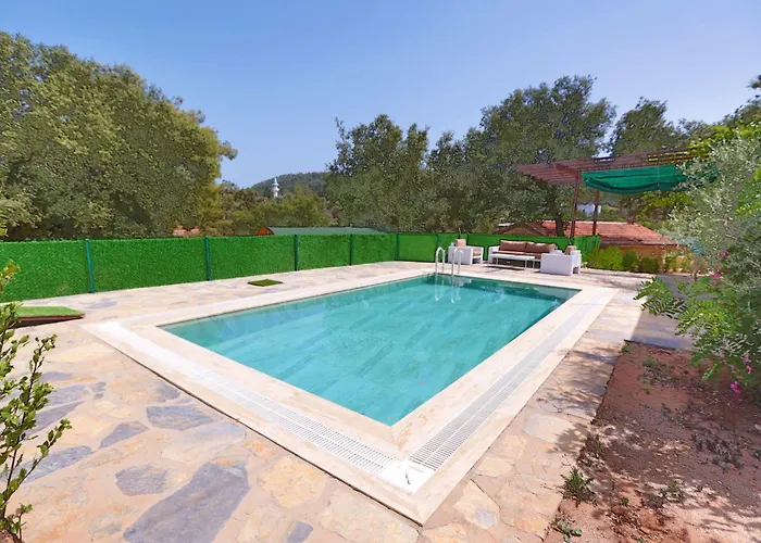 Tomato Villa