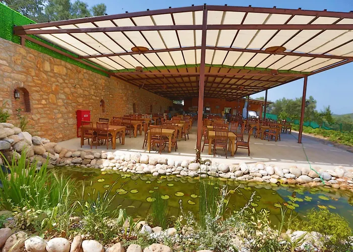 Villa Tomato *