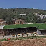 Tomato Vila