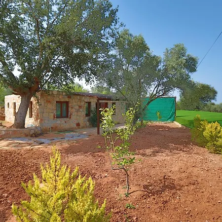 וילה Tomato בודרום