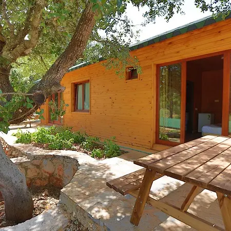 וילה Tomato בודרום