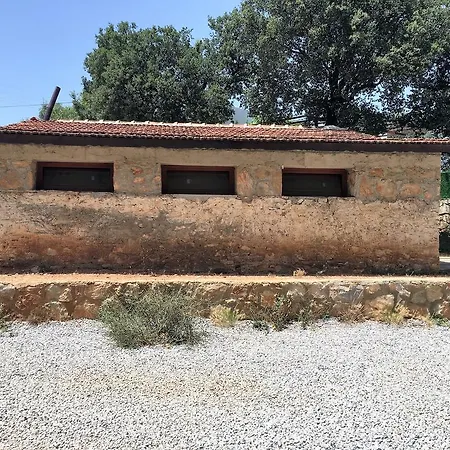 Tomato וילה בודרום