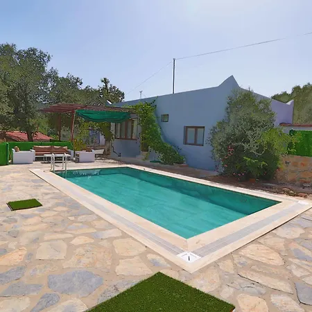 Tomato * בודרום