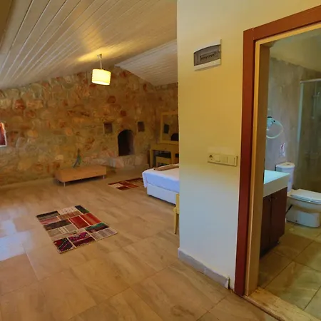 Tomato * בודרום